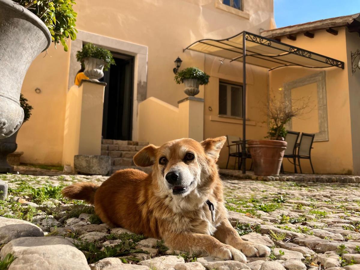 Agriturismo Castello Santa Margherita Cori Buitenkant foto